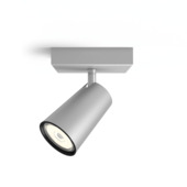 Philips opbouwspot Paisley aluminium