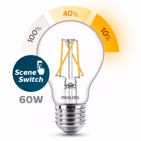 Philips LED peer E27 60W sceneswitch filament helder