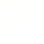 Dumawall XL kunststof wandbekleding White 4,68m² 90x260cm - 2 stuks