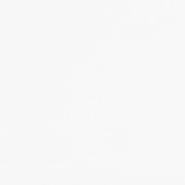 Dumapan wandpaneel PVC wit hoogglans 2.6m2, afm.260x25cm