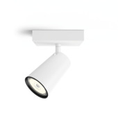 Philips opbouwspot Paisley wit