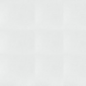 Vliesbehang Protect ruit midden - 150gr (dessin 9200)