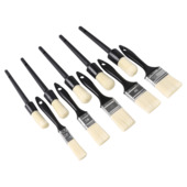 Wegwerpkwastenset universeel (10 stuks)