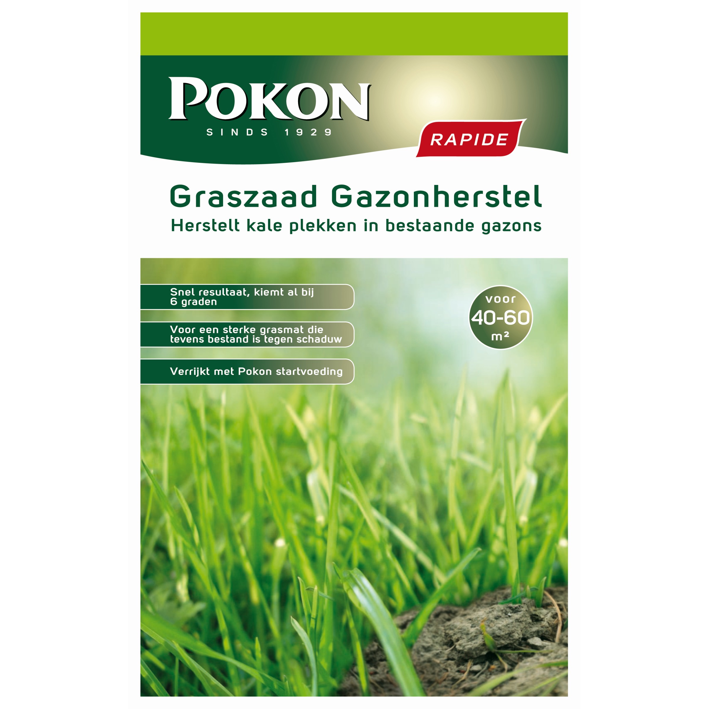 Pokon Graszaad Gazonherstel Pak 1 Kg pokon kopen in de aanbieding