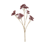 Achillea spray burgundy 72cm