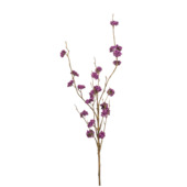 Callicarpa spray paars 97cm