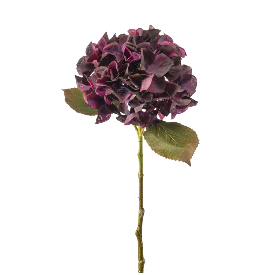 Hydrangea stem burgundy 47cm