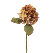 Hydrangea stem koraal 47cm