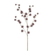 Kunstbloem Distel burgundy 85 cm