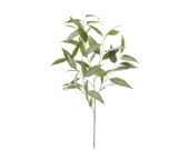 Eucalyptus spray grijs 93cm