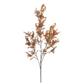 Statice spray oranje 80cm