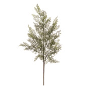 Cedar spray groen 80cm