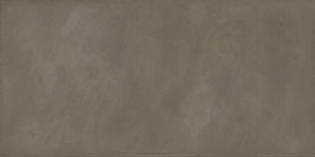 Vloertegel Tundra taupe 60 x 120 cm keramiek 1,43 m²