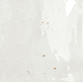 Wandtegel Fermo glanzend 12,5 cm x 12,5 cm keramiek wit 0,587 m²