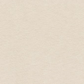 Rotadrill unischroef RVS CK 3,0X16 mm 16 stuks