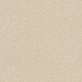 Kleurstaal CATCH (vouw)gordijnstof Vittel 223050 ecru op maat