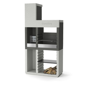 Martin Luther King Junior afstuderen Parel Barbecue beton Sunday One Tower h213 cm kopen? | Karwei