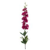 Delphinium spray fuchsia