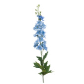 Delphinium spray lichtblauw 80cm