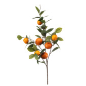 Sinaasappel spray 95cm