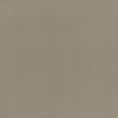 CATCH gordijn Nooza 220960 elephant