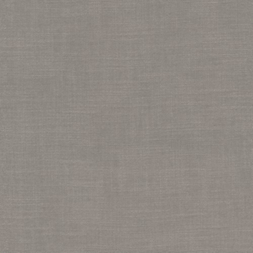 CATCH vouwgordijn Avallon 224375 elephant