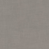 CATCH vouwgordijn Avallon 224375 elephant