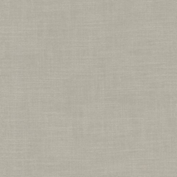 CATCH vouwgordijn Avallon 224367 mouse