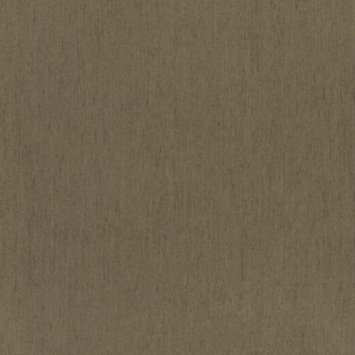 CATCH vouwgordijn Grappa 224319 earth