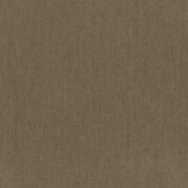 CATCH vouwgordijn Grappa 224319 earth