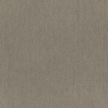 CATCH vouwgordijn Grappa 224300 mouse