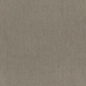 CATCH vouwgordijn Grappa 224300 mouse