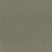 CATCH vouwgordijn Grappa 224308 rock