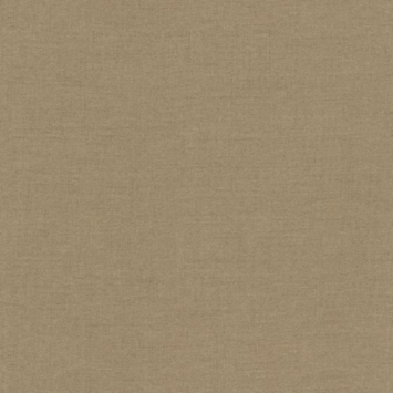 CATCH vouwgordijn Luna 224250 earth