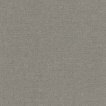 CATCH vouwgordijn Luna 224262 elephant