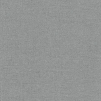 CATCH vouwgordijn Luna 224261 steel