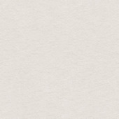 CATCH gordijn Scrunchie 224962 ivory