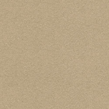 CATCH gordijn Vittel 223051 beige