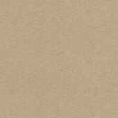 CATCH gordijn Vittel 223051 beige