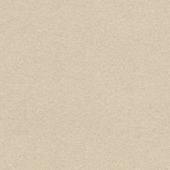 CATCH gordijn Vittel 223050 ecru