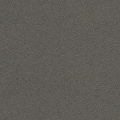 CATCH gordijn Vittel 223060 elephant