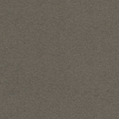 CATCH gordijn Vittel 223059 grey