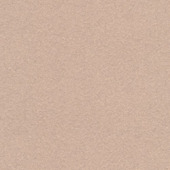 CATCH vouwgordijn Vittel 223047 lyche