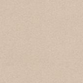 CATCH vouwgordijn Vittel 223048 pearl