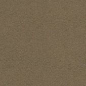 CATCH gordijn Vittel 223056 rock