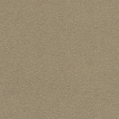 CATCH gordijn Vittel 223057 sand