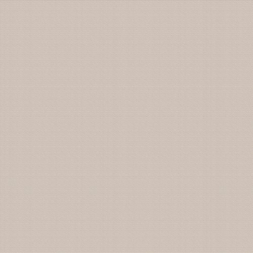 CATCH gordijn Magnet 212056 beige