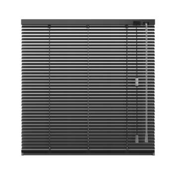 KARWEI aluminium jaloezie draaikiepraam 28412 mat zwart 16 mm op maat