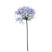 Agapanthus spray blauw 80cm