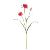 Cornflower spray roze 75cm